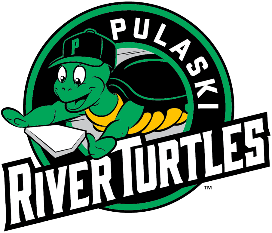 Pulaski River Turtles 2021-Pres Alternate Logo iron on transfers for T-shirts